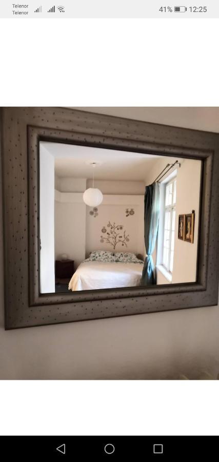 Apartment Beauty Belgrád Kültér fotó